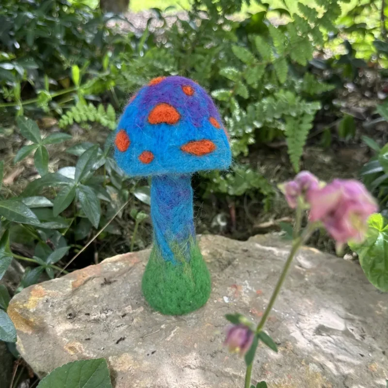 Nemezelt mesebeli gomba 1